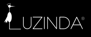 the companyname of my B2B shop is Luzinda